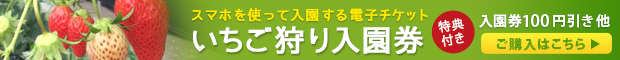 いちご狩り入園券