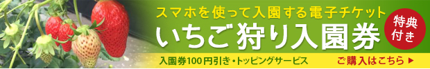 スマホを使って入園する電子チケット　いちご狩り入園券