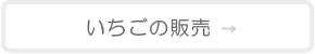 ハッピー農園いちごの販売