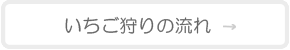 ハッピー農園イチゴ狩りの流れ