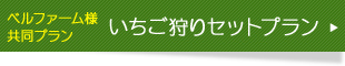 ポイントカードについて