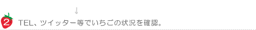 いちごの状況を確認