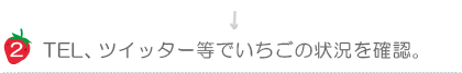 いちごの状況を確認