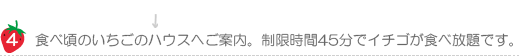 ハッピー農園食べ頃のいちごのハウスへご案内