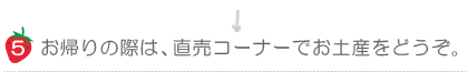 直売コーナーで、新鮮ないちごをお土産にどうぞ