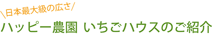 ハッピー農園いちごハウスのご紹介