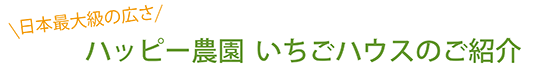 ハッピー農園いちごハウスのご紹介