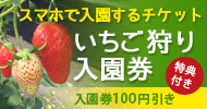 ハッピー農園いちご狩り入園券